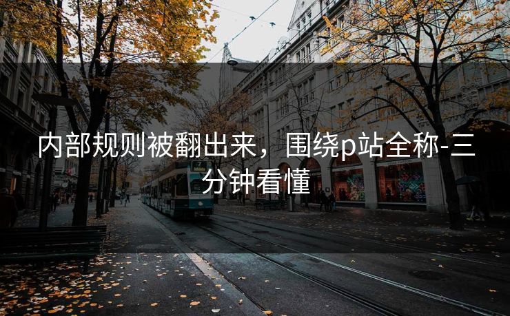 内部规则被翻出来，围绕p站全称-三分钟看懂