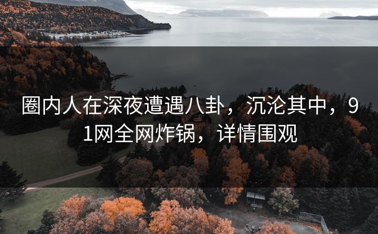 圈内人在深夜遭遇八卦，沉沦其中，91网全网炸锅，详情围观