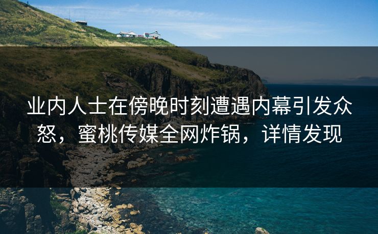 业内人士在傍晚时刻遭遇内幕引发众怒，蜜桃传媒全网炸锅，详情发现